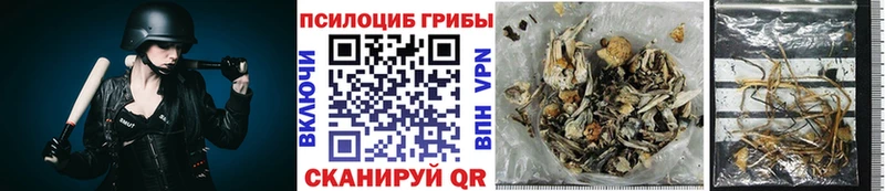 Галлюциногенные грибы Cubensis  как найти закладки  Городище 